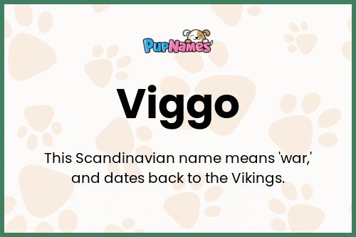 Viggo dog name meaning