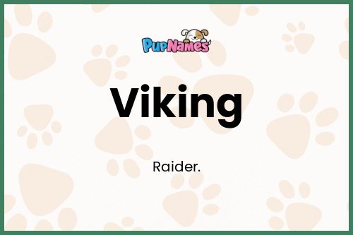 Viking dog name meaning