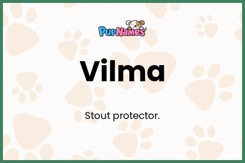 Vilma dog name meaning