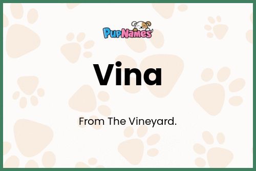 Vina dog name meaning