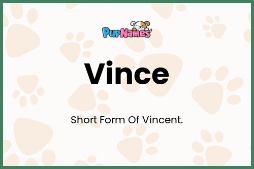 Vince dog name meaning