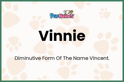 Vinnie dog name meaning