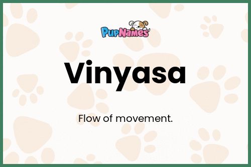 Vinyasa dog name meaning