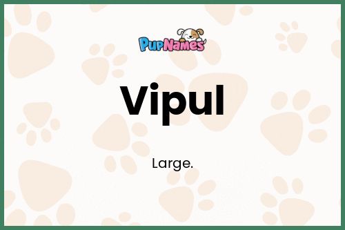 Vipul dog name meaning