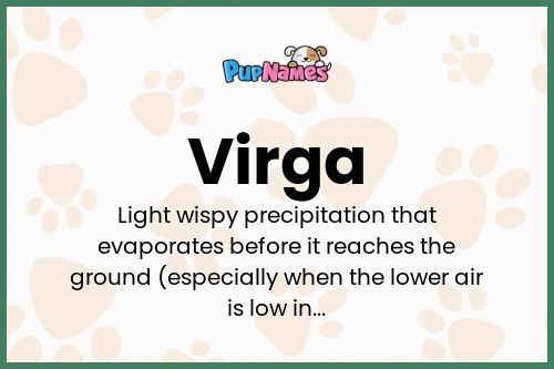 Virga dog name meaning