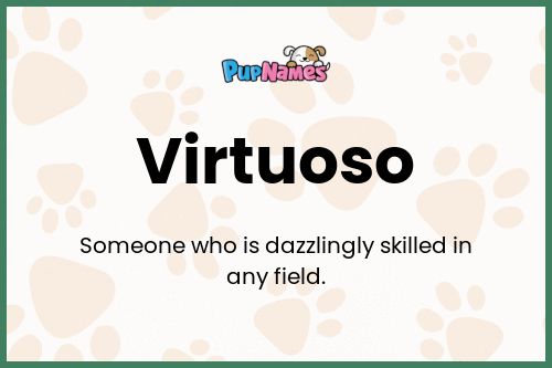 Virtuoso dog name meaning