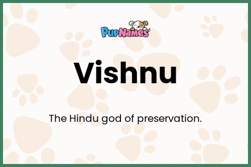 Vishnu dog name meaning