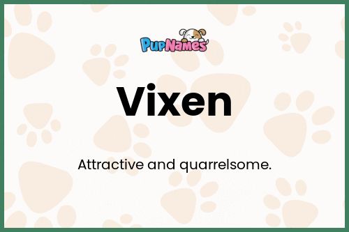 Vixen dog name meaning