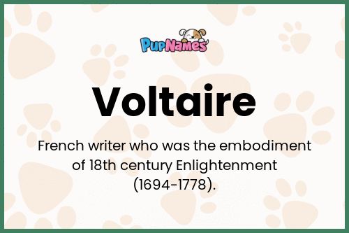 Voltaire dog name meaning