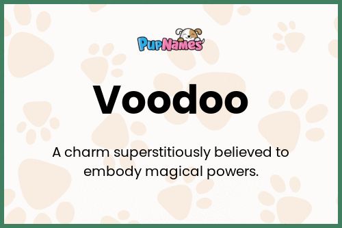 Voodoo dog name meaning
