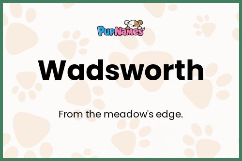 Wadsworth dog name meaning