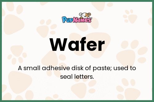 Wafer dog name meaning