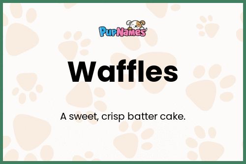 Waffles dog name meaning