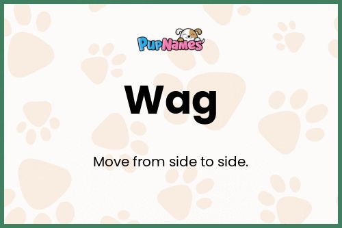 Wag dog name meaning