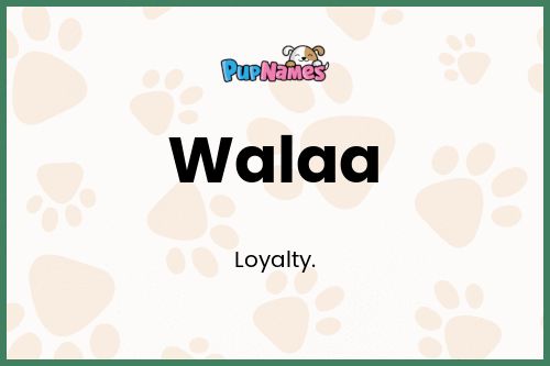 Walaa dog name meaning