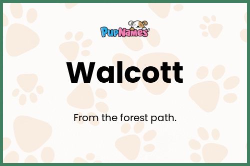 Walcott dog name meaning