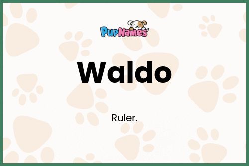 Waldo dog name meaning