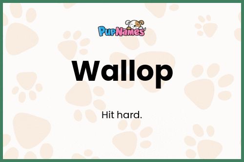 Wallop dog name meaning