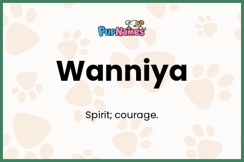 Wanniya dog name meaning