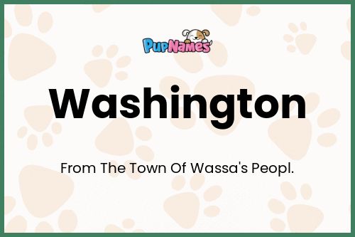 Washington dog name meaning