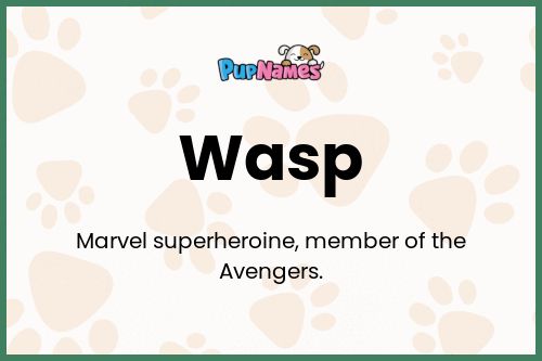 Wasp dog name meaning