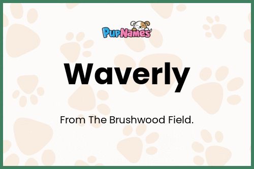 Waverly dog name meaning