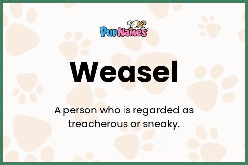 Weasel dog name meaning