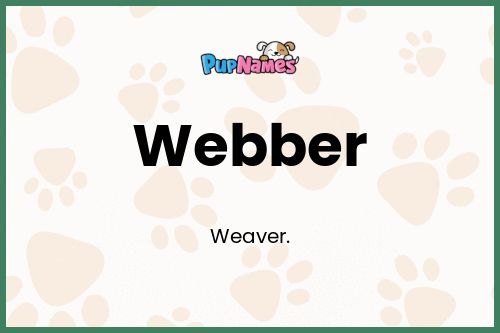 Webber dog name meaning