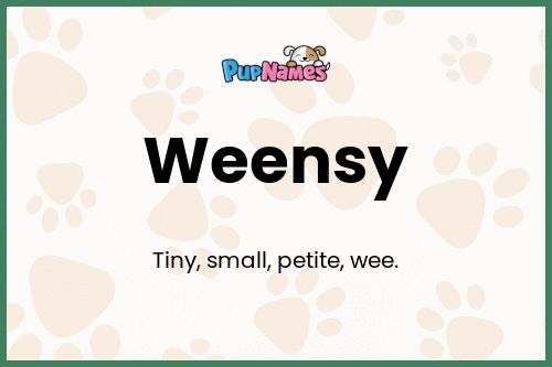 Weensy dog name meaning