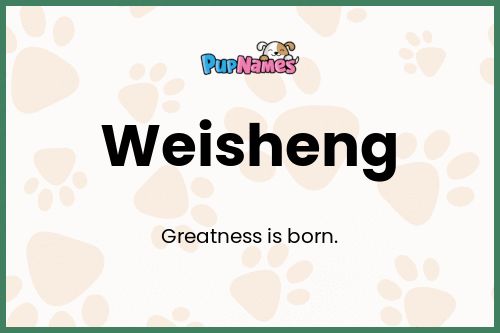 Weisheng dog name meaning