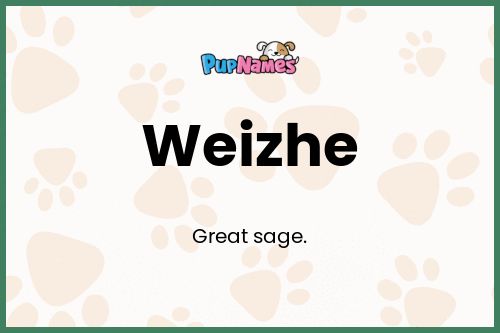 Weizhe dog name meaning