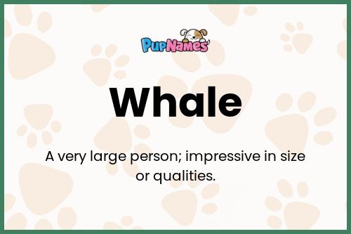 Whale dog name meaning