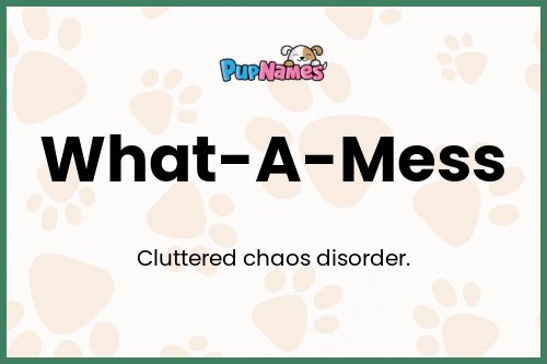 What-A-Mess dog name meaning