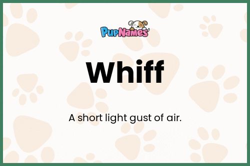 Whiff dog name meaning