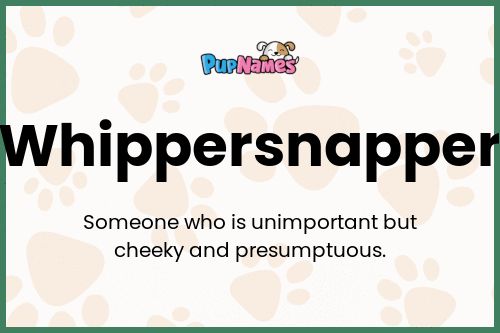 Whippersnapper dog name meaning