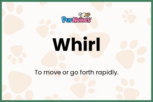 Whirl dog name meaning