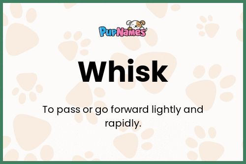 Whisk dog name meaning