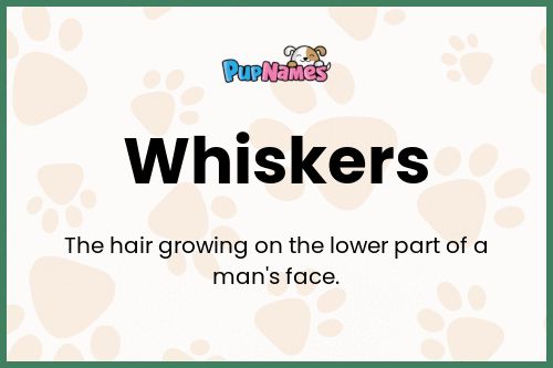 Whiskers dog name meaning