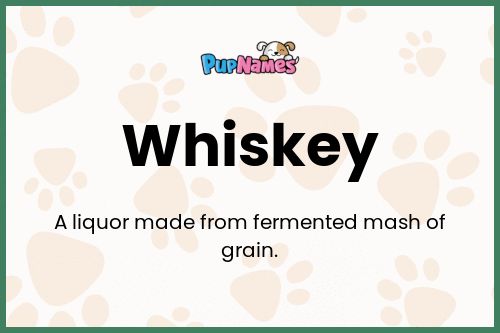 Whiskey dog name meaning