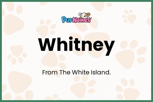 Whitney dog name meaning