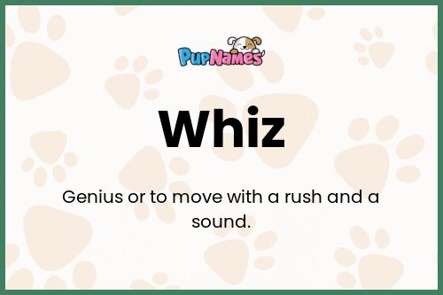 Whiz dog name meaning