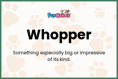 Whopper dog name meaning