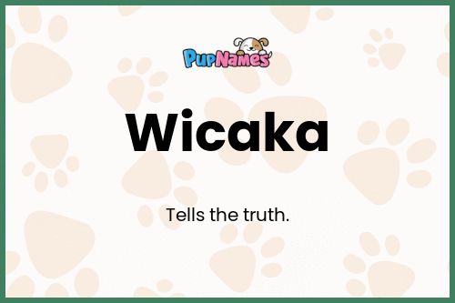 Wicaka dog name meaning