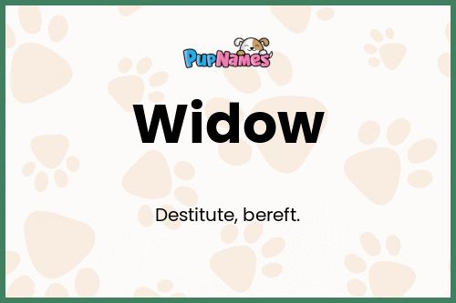 Widow dog name meaning