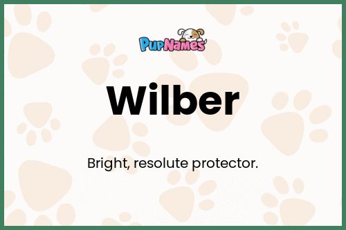 Wilber dog name meaning