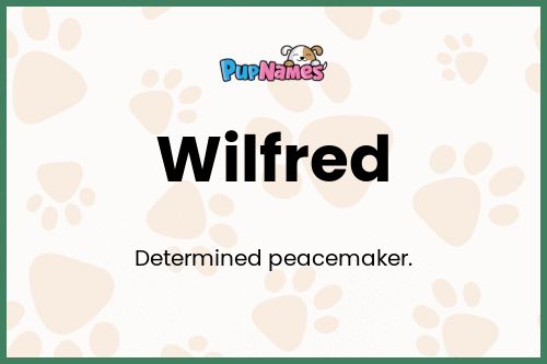 Wilfred dog name meaning