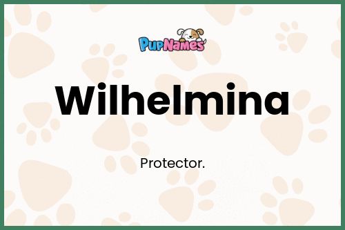 Wilhelmina dog name meaning