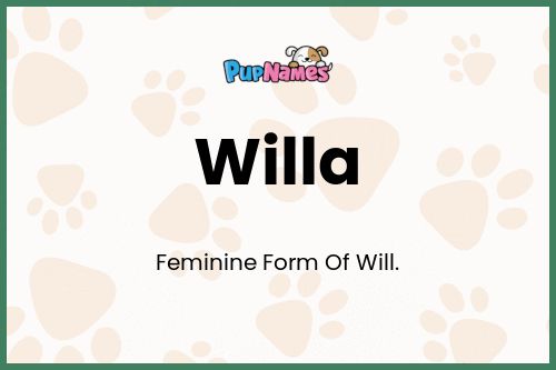 Willa dog name meaning