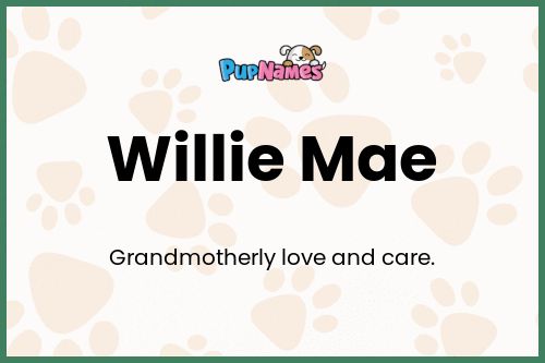 Willie Mae dog name meaning