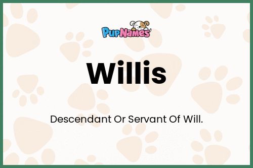 Willis dog name meaning